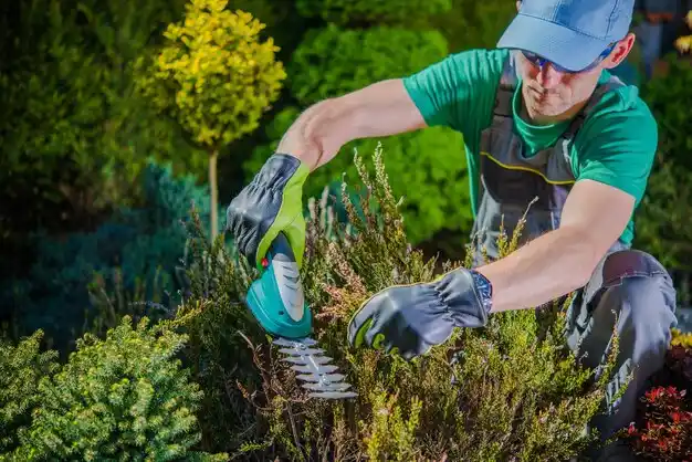 landscaping services Lee's Summit